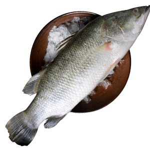 Whole Gutted, Gilled and Scaled Seabass Fish (WGGS)