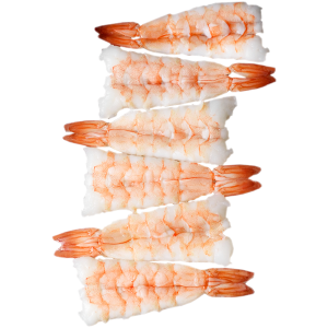 Sushi Ebi