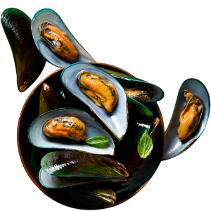 Mussel Meat