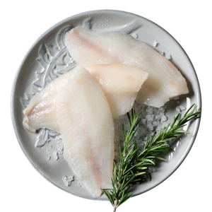 Fish Fillet