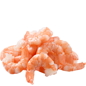 Cooked Peeled  Undeveined Tail-Off