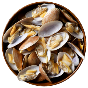 Clam Meat